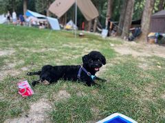 -北京恒爱动物医院(清景园分院)