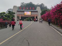 -白云山风景名胜区