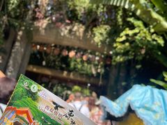 -西双版纳原始森林公园