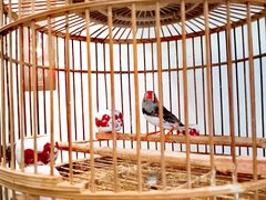 -潇湘·永州会馆(百子湾店)