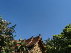 -西双版纳总佛寺