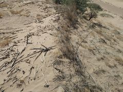 -吉野家(南昌铜锣湾店)