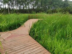 -东郊湿地公园