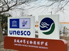 -盐城丹顶鹤湿地生态旅游区