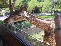 -石家庄市动物园