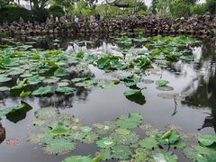 -无锡蠡湖国家湿地公园-蠡园