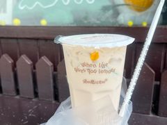 -猫的魔法密林(衣裳街店)