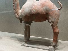 -敦煌市博物馆