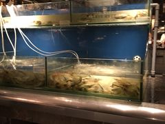 -多伦多海鲜自助餐厅(百盛购物中心三阳店)