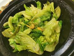 者者唐生菜-文兴酒家(晶品店)