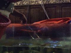 -ZF Seafood Restaurant 卓峰海鲜餐