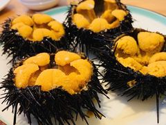 -海胆小馆(东北水饺·春柳店)