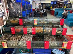 -鑫鸿达·海鲜闽菜热炒小馆(中山路店)