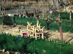 -沈阳森林动物园
