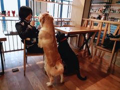 -萌喵咖啡屋(人民东路4号口M16商铺店)