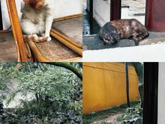 -西园戒幢律寺