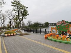 -上海长兴岛郊野公园