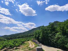 -阳台山自然风景区