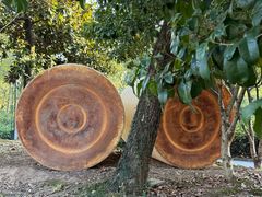 -东钱湖旅游度假区