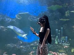 -华夏文旅海洋公园