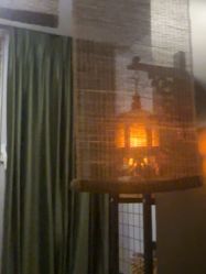 点击看大图 -iSpa