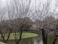 -南京钟山宾馆(江苏省会议中心)