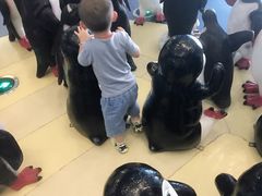 -芜湖新华联大白鲸海洋公园