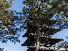 -北京世界公园