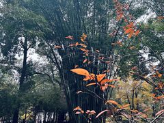 -成都杜甫草堂博物馆