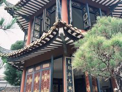 -碧江金楼