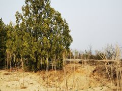 -白水寺森林公园