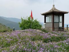 -香山公园