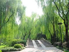 -柳浪闻莺公园