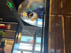 -老板恋上鱼(印象城店)