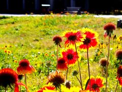 -永定河休闲森林公园