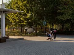 -大兴滨河森林公园