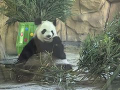 -泉州海丝野生动物世界