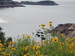 -宁波松兰山滨海旅游度假区
