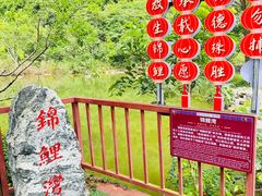 -靖西鹅泉风景区