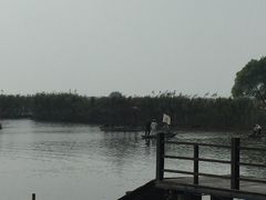 -洪湖生态旅游区