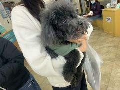 -美联众合动物医院·24h转诊中心