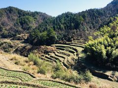 -灵山景区梯田