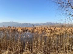 -野鸭湖国家湿地公园