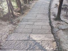 -火炉山森林公园