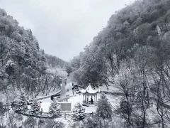 -秦岭风景区
