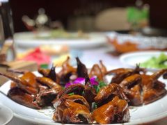 吊烧乳鸽-潇湘华天大酒店-湘·悦美食街(芙蓉中路店)