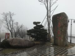 -江南天池