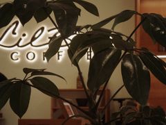 -LilBee Coffee
