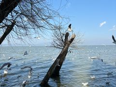 -捞渔河湿地公园