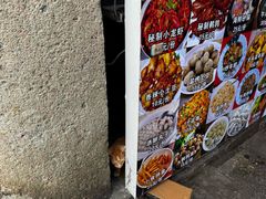 -鸣鹤古镇